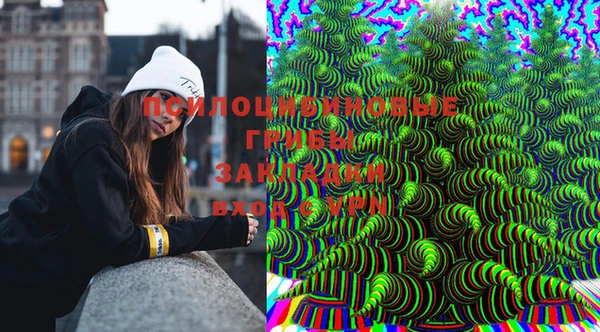 бошки Магас