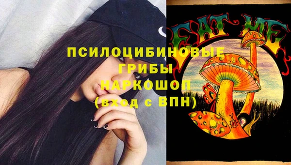 бошки Магас