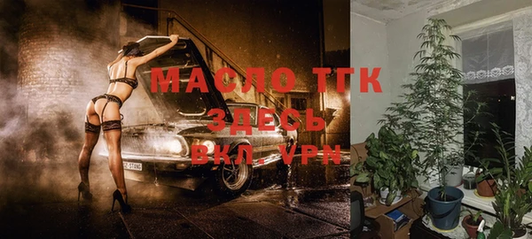 apvp Кукмор