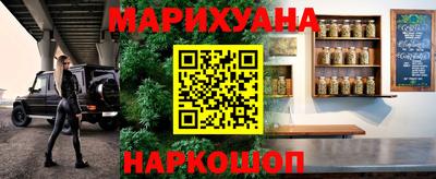ешки Кингисепп