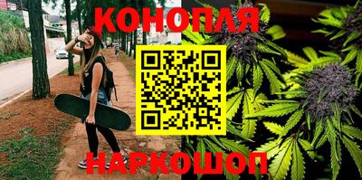 ешки Кингисепп