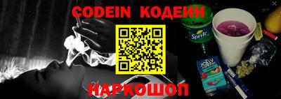 ешки Кингисепп