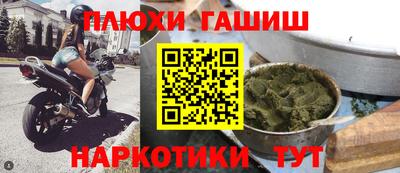 ешки Кингисепп